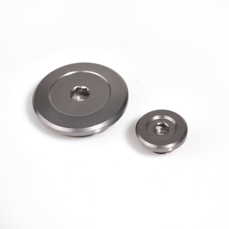 Engine Timing Plug