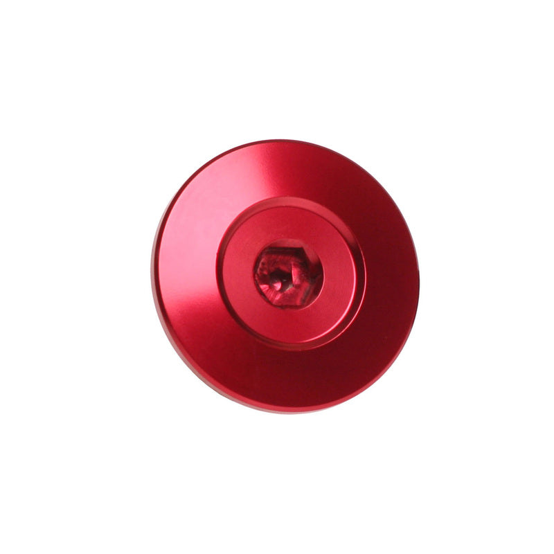 Engine Timing Plug