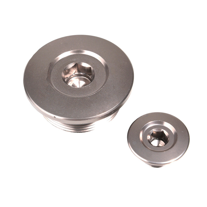 Engine Timing Plug