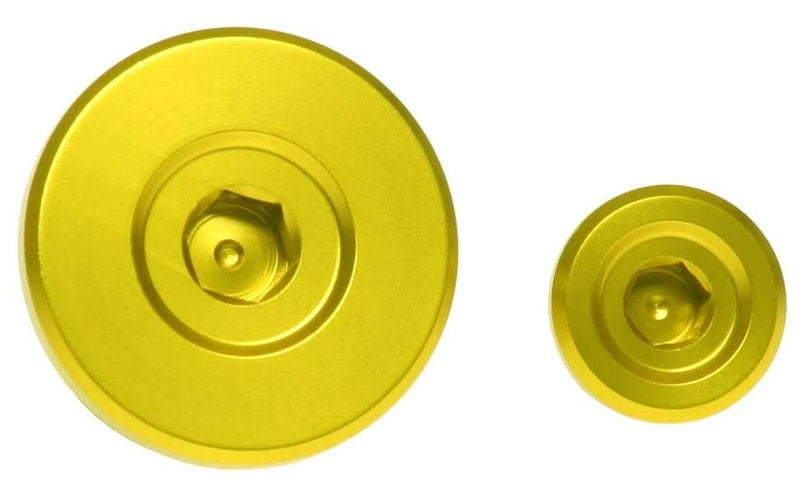 Engine Timing Plug
