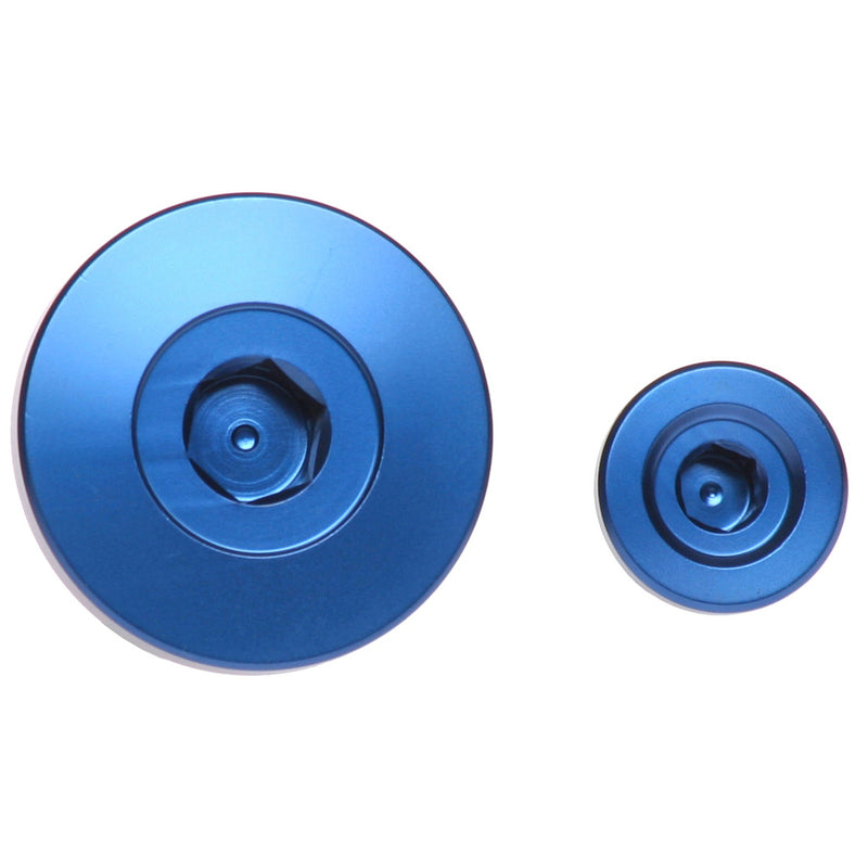 Engine Timing Plug