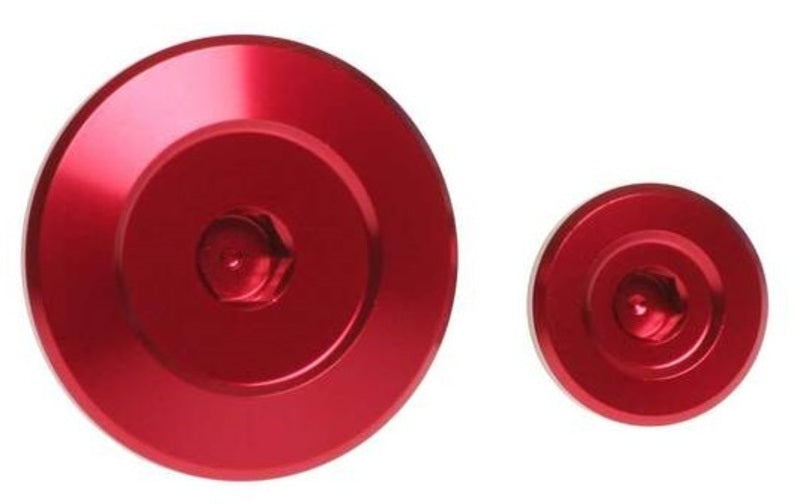 Engine Timing Plug 