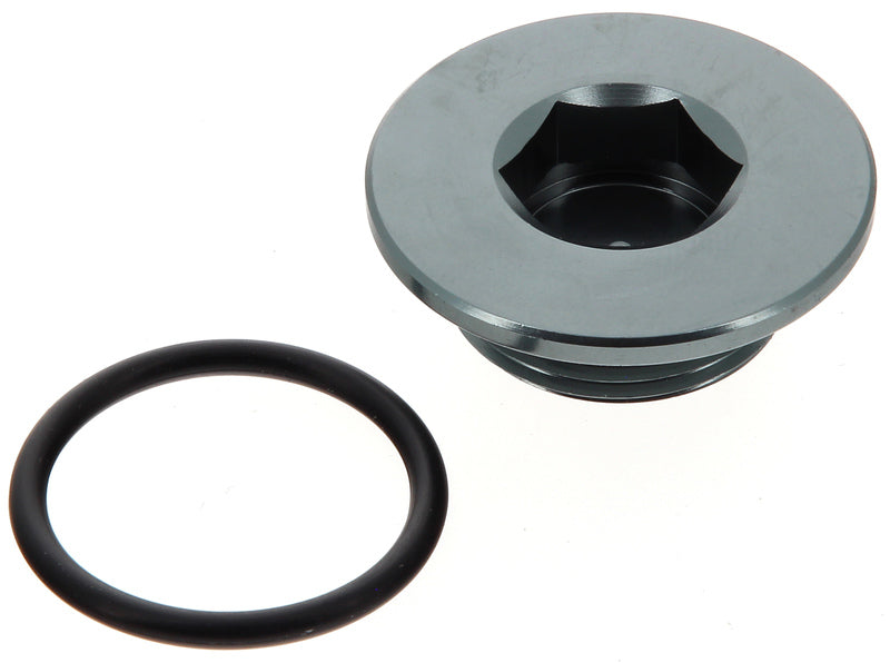 Engine Timing Plug 